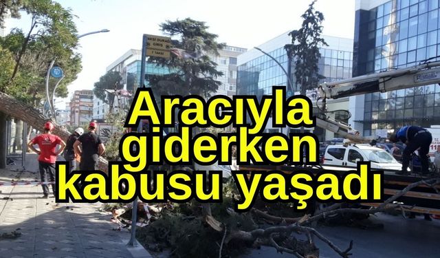 Aracıyla giderken kabusu yaşadı
