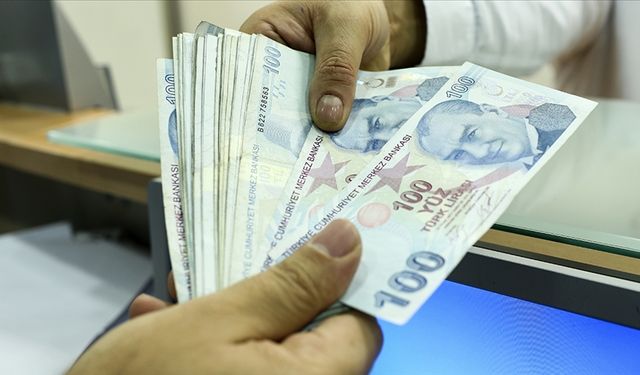 Destek ödemeleri bu gün çiftçilerin hesabına yattı