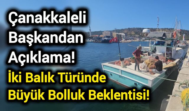 Çanakkaleli Başkandan Açıklama! İki Balık Türünde Büyük Bolluk Beklentisi!
