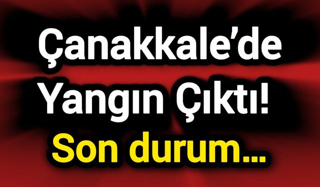 Çanakkale’de Yangın Çıktı! Son durum…