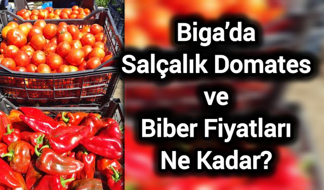 Biga’da Salçalık Domates ve Biber Fiyatları Ne Kadar?