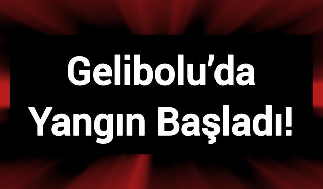 Çanakkale Gelibolu’da Yangın Başladı!