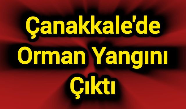 Çanakkale'de Orman Yangını Çıktı