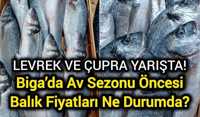 Biga’da Av Sezonu Öncesi Balık Fiyatları Ne Durumda?