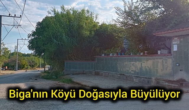 Biga'nın Köyü Doğasıyla Büyülüyor