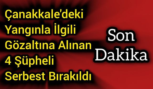 Çanakkale'deki Yangınla İlgili Gözaltına Alınan 4 Şüpheli Adli Kontrolle Serbest Bırakıldı