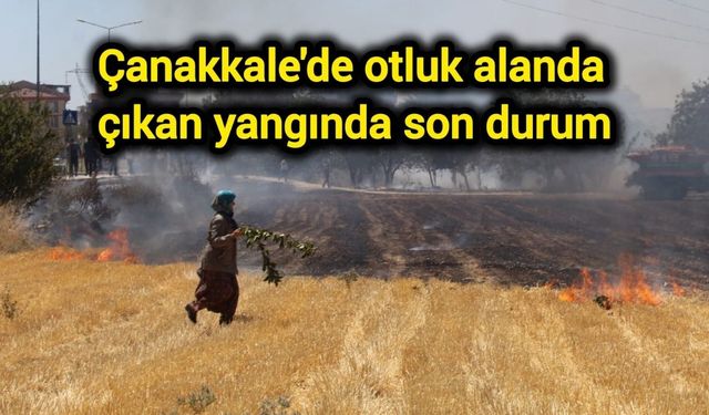 Çanakkale'de otluk alanda çıkan yangında son durum