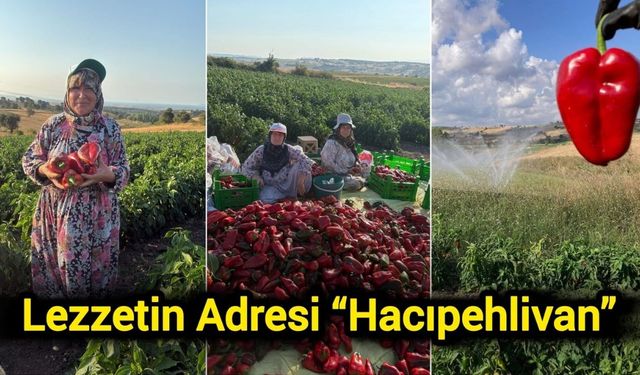 Lezzetin Adresi “Hacıpehlivan”