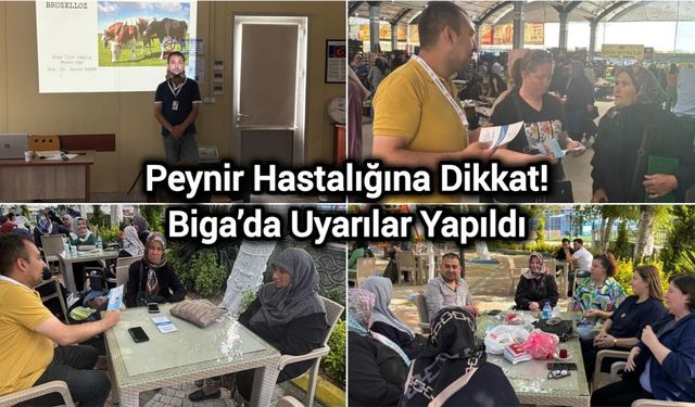 Peynir Hastalığına Dikkat! Biga’da Uyarılar Yapıldı