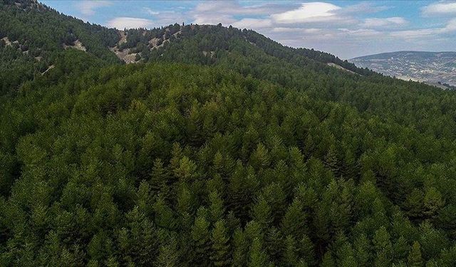 6 ayda yaklaşık 10,9 milyar lira harcandı