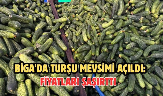 Biga'da Turşu Mevsimi Açıldı: Fiyatları Şaşırttı
