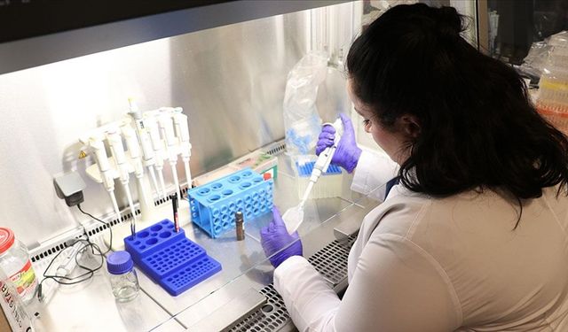 Bağırsak hastalıklarının tedavisi için bor mineralli ürün geliştirildi