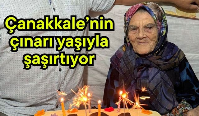 Çanakkale’nin çınarı yaşıyla şaşırtıyor