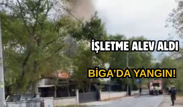 Biga’da bir işletmeyi alevler sardı