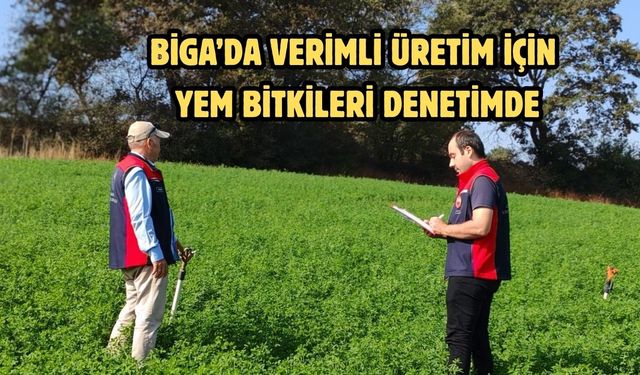 Biga’da verimli üretim için yem bitkileri denetimde