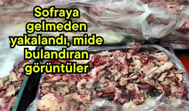 Sofraya gelmeden yakalandı, mide bulandıran görüntüler (Video)