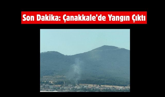 Son Dakika: Çanakkale’de Yangın Çıktı