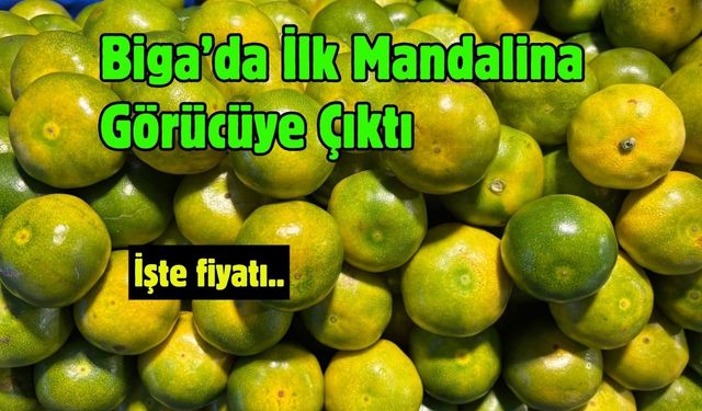 Biga’da İlk Mandalina Görücüye Çıktı