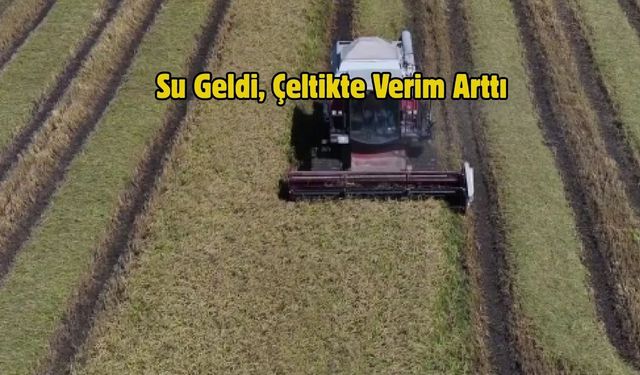 Su Geldi, Çeltikte Verim Arttı