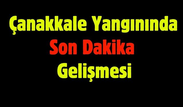 Çanakkale Yangınında Son Dakika Gelişmesi