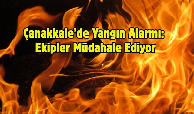 Çanakkale’de Yangın Alarmı: Ekipler Müdahale Ediyor
