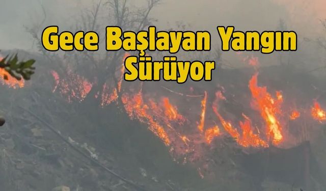 Gece Başlayan Yangın Sürüyor