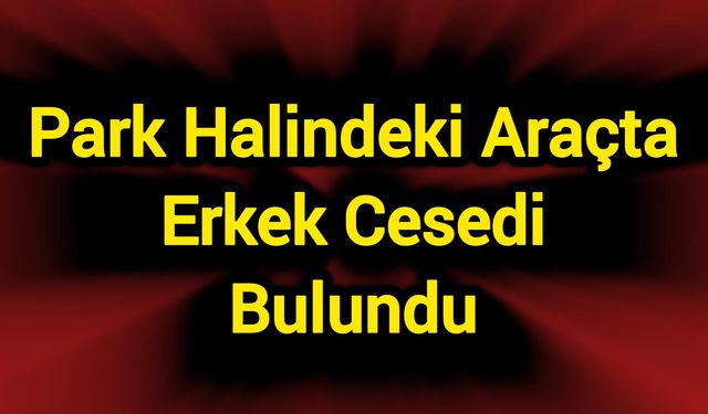 Park halindeki araçta cansız beden bulundu