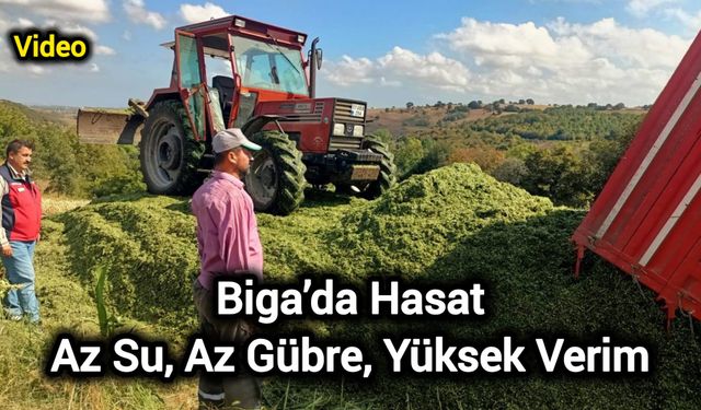 Biga’da Hasat: Az Su, Az Gübre, Yüksek Verim