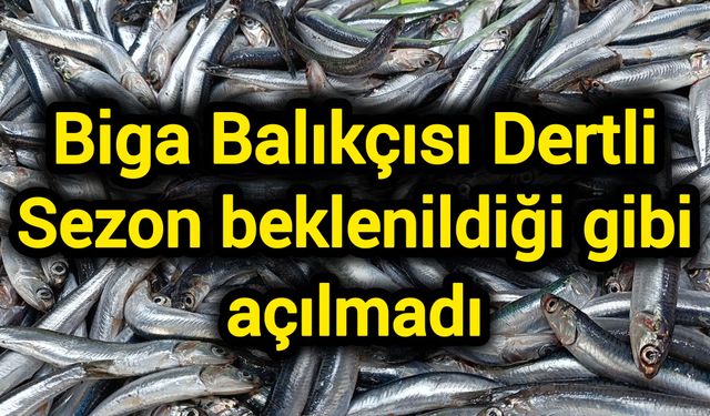 Biga balıkçısı dertli: Sezon beklenildiği gibi açılmadı