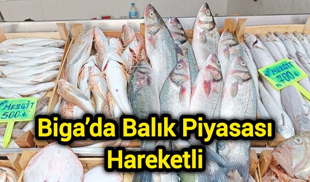 Biga’da Balık Piyasası Hareketli