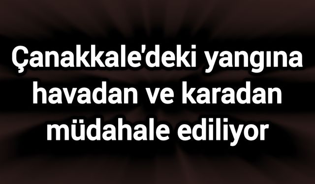 Çanakkale'deki yangına havadan ve karadan müdahale ediliyor