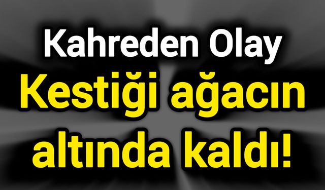 Kahreden Olay: Kestiği ağacın altında kaldı!