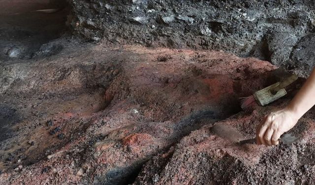 5 bin yıl önce yaşayan insanlar mide rahatsızlıklarında bakın ne kullanmış!