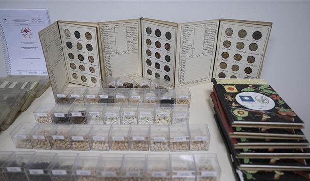122 bin 750 tohum örneği gen bankalarında korunuyor