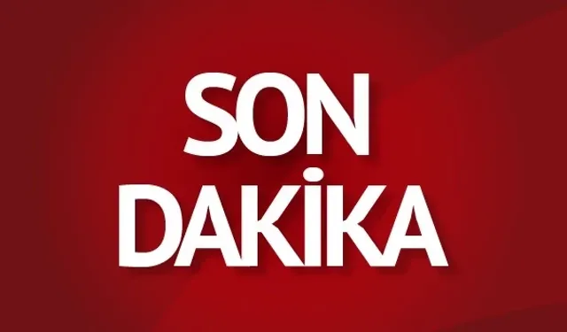 Denizli'deki cinayetin şüphelileri komşuda yakalandı