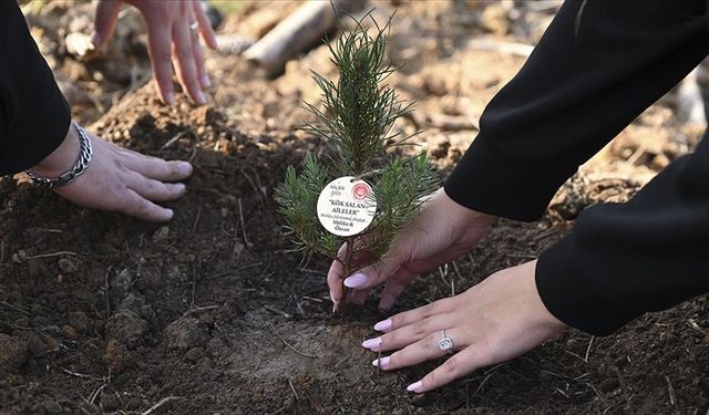 150 Bin Lira Faizsiz Evlilik Kredisine Yoğun İlgi