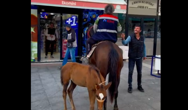 Biga sokaklarında alışılmışın dışında görüntü