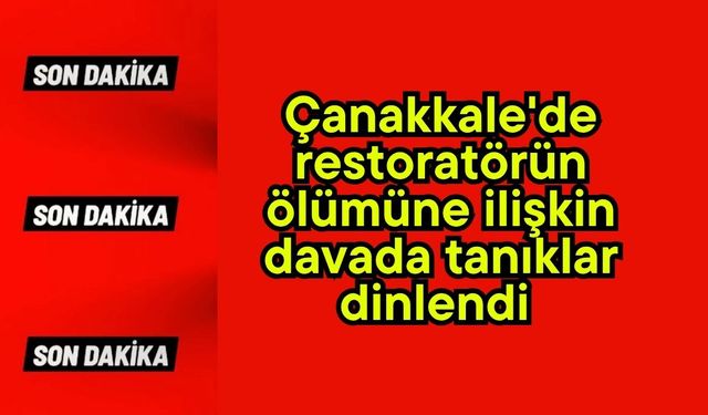 Çanakkale'de restoratörün ölümüne ilişkin davada tanıklar dinlendi