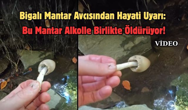 Bigalı Mantar Avcısından Hayati Uyarı