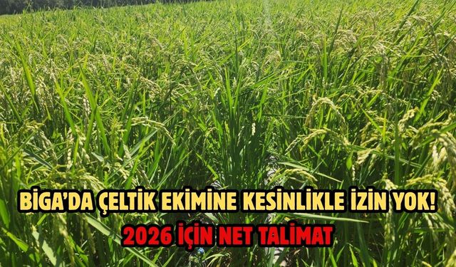 Biga’da çeltik ekimine kesinlikle izin yok! 2026 için net talimat