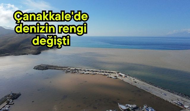 Çanakkale'de denizin rengi değişti