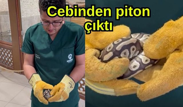 Cebinden piton çıktı