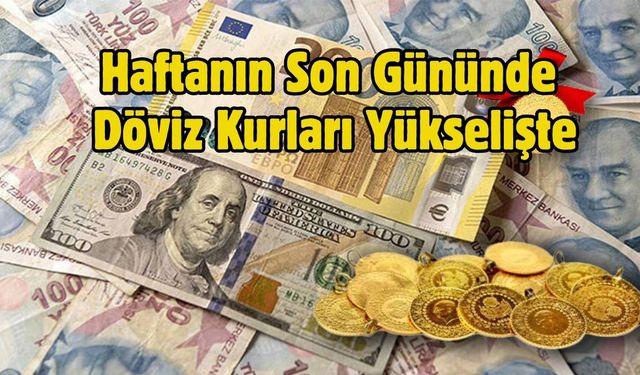 Haftanın Son Gününde Döviz Kurları Yükselişte