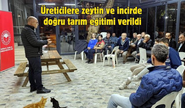Üreticilere zeytin ve incirde doğru tarım eğitimi verildi