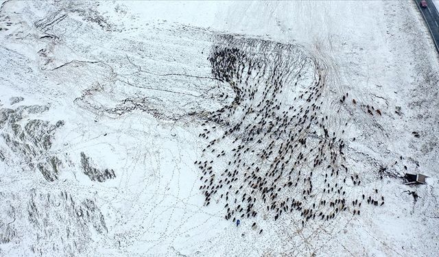 Yayladan dönen göçerler karla karşılaştı