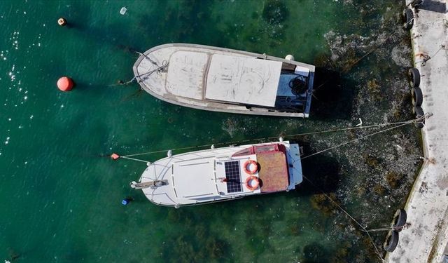 Müsilaj oluşumu görülen illerdeki balıkçılara ödeme yapılacak