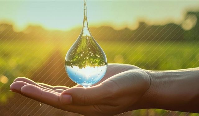 Tarım kaynaklı kirliliğe karşı yeşil hamle