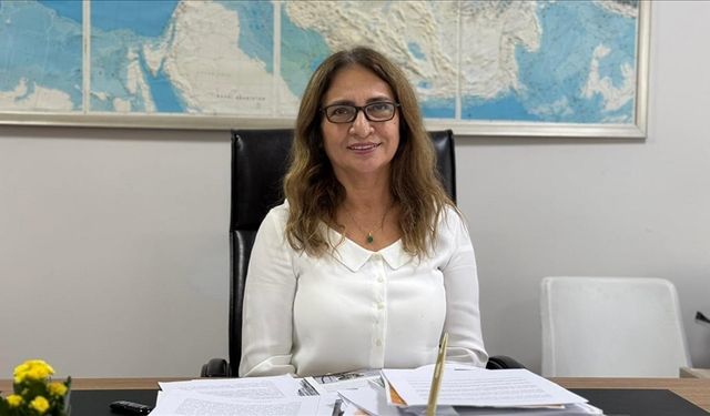 Uzmanlar Marmara Denizi'ndeki depremi değerlendirdi