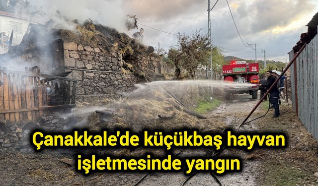 Çanakkale'de küçükbaş hayvan işletmesinde yangın