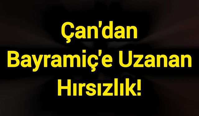 Çan'dan Bayramiç'e Uzanan Hırsızlık!